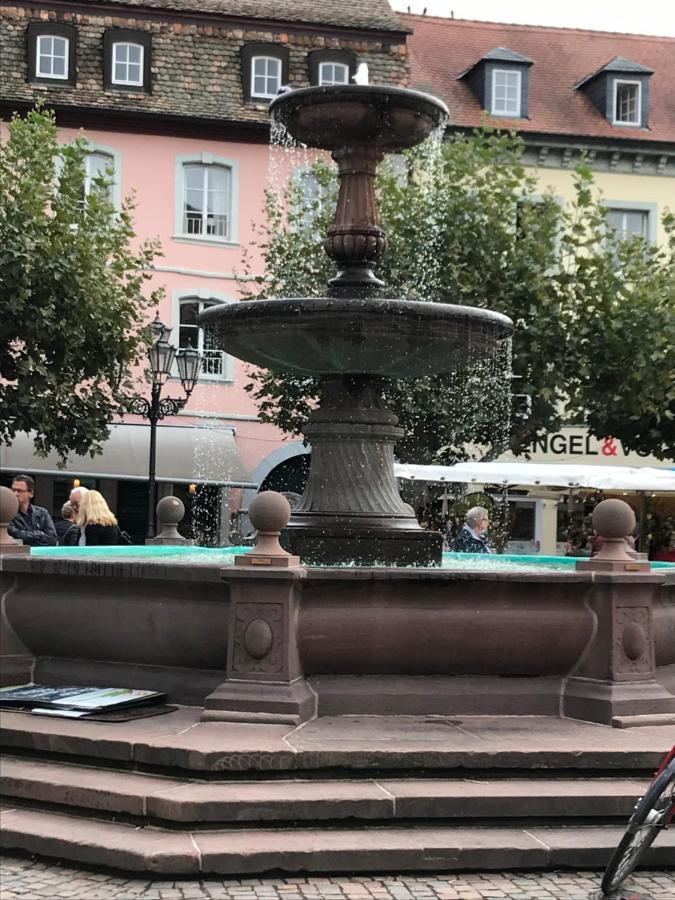 Ferienhaus Heil Neustadt an der Weinstraße Екстериор снимка