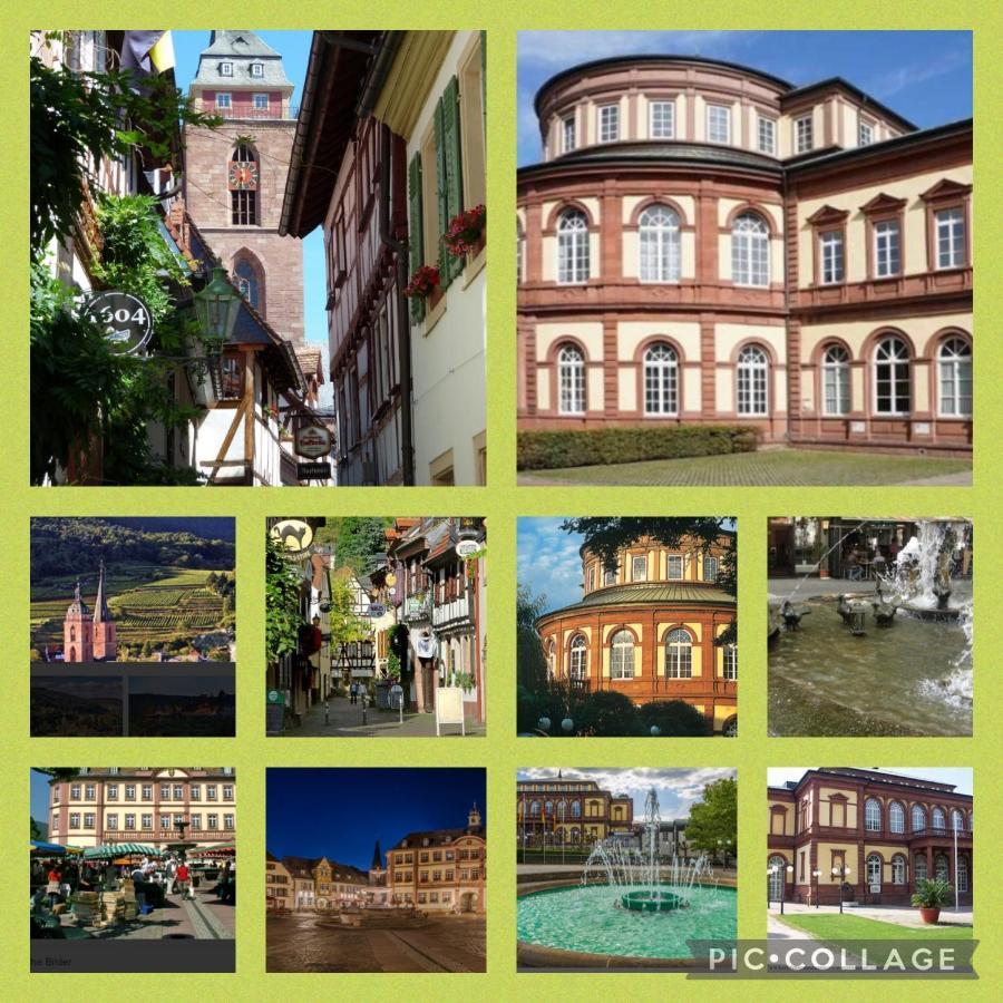 Ferienhaus Heil Neustadt an der Weinstraße Екстериор снимка